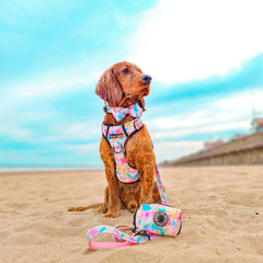 Trail & Glow® Harness Bundle Set - Candy Floss