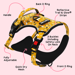 Trail & Glow® Dog Harness - Wanna-Bee