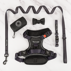 Trail & Glow® Harness Bundle Set - The Black One