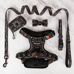 Trail & Glow® Harness Bundle Set - Celestial