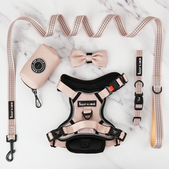 Trail & Glow® Harness Bundle Set - The Champagne One