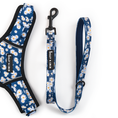 Fabric Dog Lead - Loves Me Loves Me Not Daisy