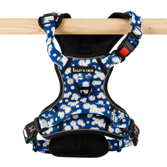 Trail & Glow Harness – Loves Me, Loves Me Not Daisy