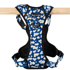 Trail & Glow Harness – Loves Me, Loves Me Not Daisy