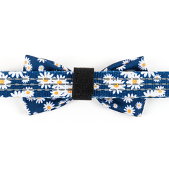 Bow Tie - Loves Me Loves Me Not Daisy