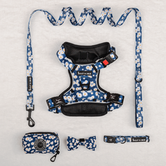 Trail & Glow Harness Bundle Set - Loves Me, Loves Me Not Daisy