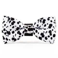 Bow Tie - On The Dot Dalmatian