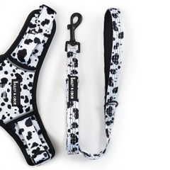 Fabric Dog Lead - On The Dot