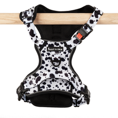 Trail & Glow Adjustable Dog Harness - On the Dot