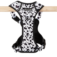 Trail & Glow Adjustable Dog Harness - On the Dot