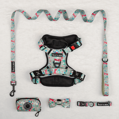 Trail & Glow Harness Bundle Set - Dino Party