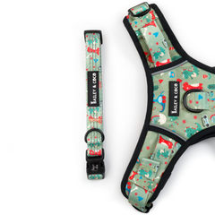 Dino Party Collar