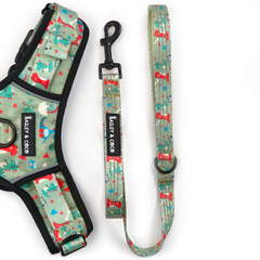 Fabric Dog Lead - Dino Party