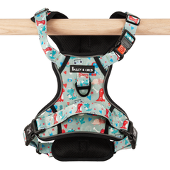 Dinosaur Dog Harness – Dino Party