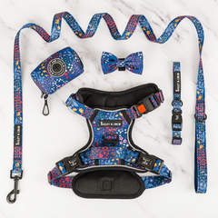Trail & Glow® Harness Bundle Set - Enchanted