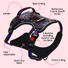 Trail & Glow® Harness Bundle Set - Enchanted