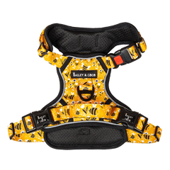 Trail & Glow® Dog Harness - Wanna-Bee