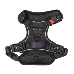 Trail & Glow® Dog Harness - The Black One