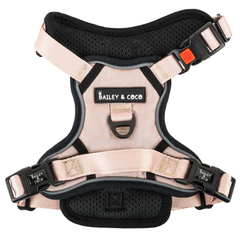 Trail & Glow® Dog Harness - The Champagne One