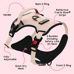 Trail & Glow® Dog Harness - The Champagne One