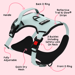 Trail & Glow® Dog Harness - The Eggshell Blue One