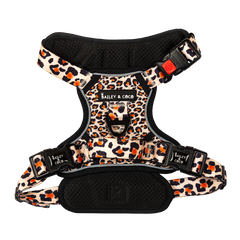 Trail & Glow® Dog Harness - Wild One