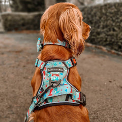 Dinosaur Dog Harness – Dino Party