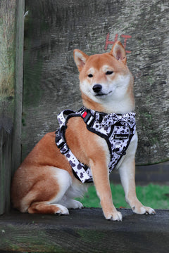 Trail & Glow Adjustable Dog Harness - On the Dot