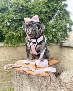 Trail & Glow® Dog Harness - Candy Floss