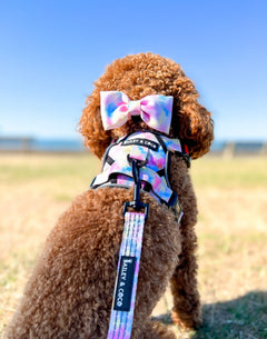 Trail & Glow® Dog Harness - Candy Floss