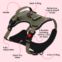 Trail & Glow® Dog Harness - The Khaki One