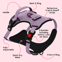 Trail & Glow® Dog Harness - The Lavender One