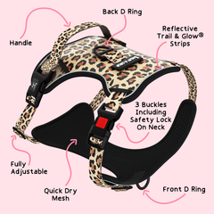 Trail & Glow® Dog Harness - Wild One