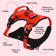 Trail & Glow® Harness Bundle Set - The Red One