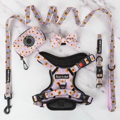 Trail & Glow® Harness Bundle Set - Walking on Sunshine
