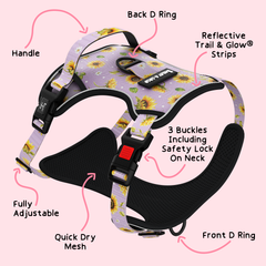 Trail & Glow® Dog Harness - Walking on Sunshine