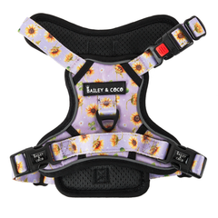 Trail & Glow® Dog Harness - Walking on Sunshine