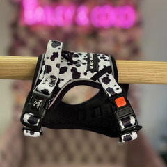 Trail & Glow Adjustable Dog Harness - On the Dot