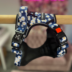 Trail & Glow Harness – Loves Me, Loves Me Not Daisy