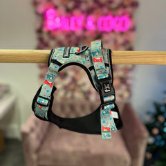 Dinosaur Dog Harness – Dino Party