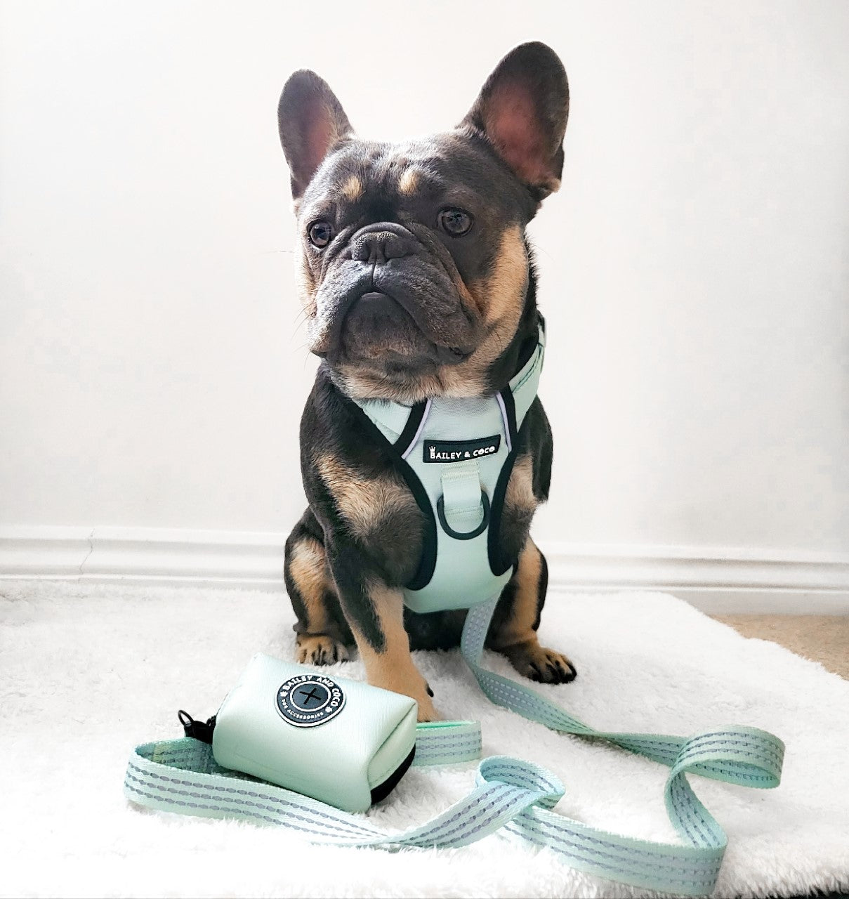 Trail & Glow® Harness Bundle Set - The Eggshell Blue One